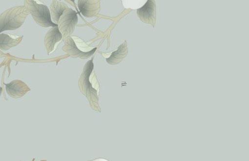 天生富貴的八字有這些特點(diǎn) 天生八字富貴命猜生肖