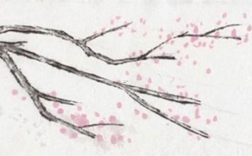 有關(guān)茶的好聽的名字 有關(guān)茶的好聽的名字