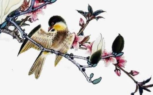 屬相配對(duì)測(cè)姻緣打分生辰八字 屬相生辰八字婚配測(cè)試