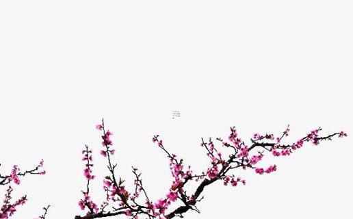 2018年必定懷孕的八字 2018年生人八字詳批