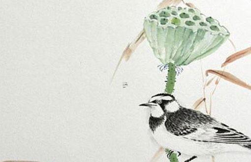 屬蛇的人女士戴什么手鏈最旺,屬蛇女2023年佩戴什么手串好