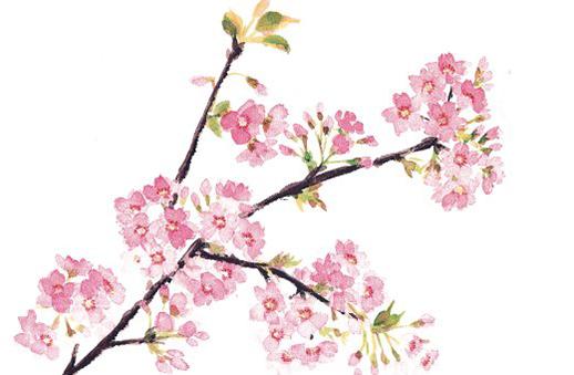 八字個性簽名愛情 八字簽名短句唯美愛情