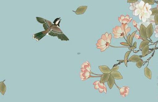 古人占卜的蓍草是什么，易經(jīng)八卦的基礎(chǔ)知識