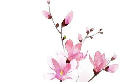 好聽奶粉的名字