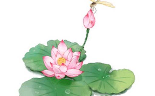 屬蛇今年應(yīng)該穿什么顏色的衣服,屬蛇人今年穿什么顏色的衣服好