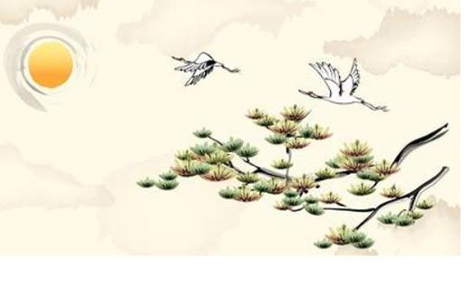 屬豬一生桃花運 屬豬今年桃花運如何