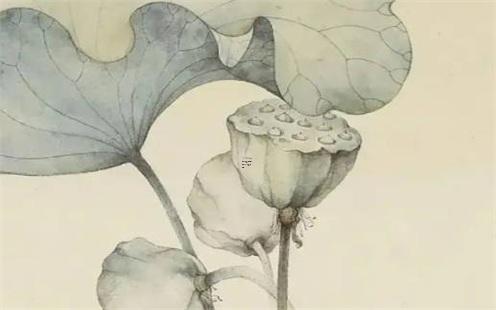 算命姻緣何時遇到另一半句子 算命看何時遇到另一半