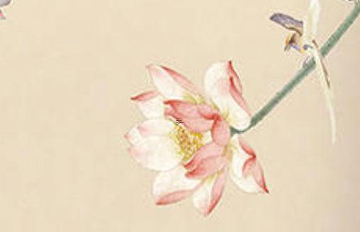 出生時辰對應的八字 生辰八字的出生時辰決定一生命運 出生時辰對應的八字 生辰八字的出生時辰決定一生命運