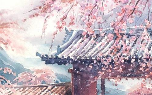 算命到一半不算了什么意思 算命的一半怎么說