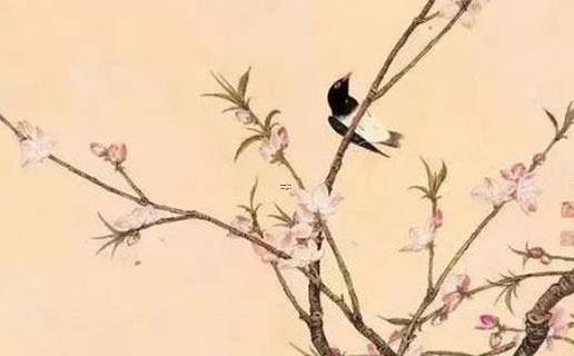 手機號測兇吉,女性手機尾號用什么數(shù)字吉祥
