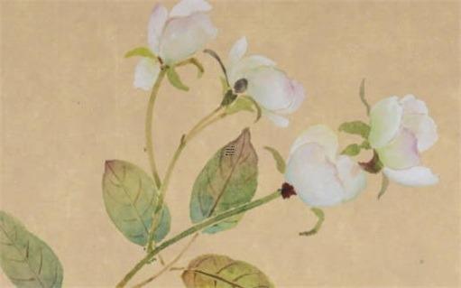 招財(cái)大牛貓管理的私募 招財(cái)大牛貓的基金大虧 別把投資人的錢不當(dāng)錢 招財(cái)大牛貓管理的私募 招財(cái)大牛貓的基金大虧 別把投資人的錢不當(dāng)錢