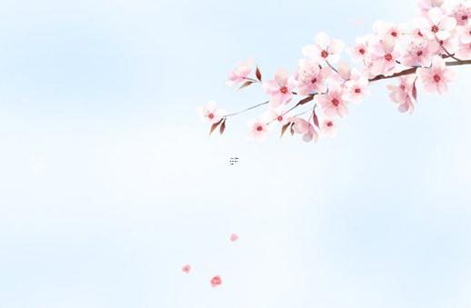 楊柳木命生于幾月好,上等命,中等命,下等命有哪些