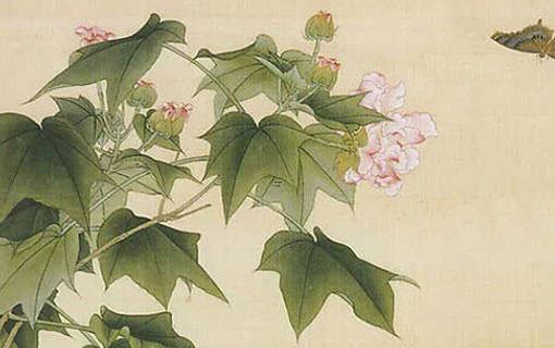 算命中支花吉啥意思 花支數(shù)代表什么意思