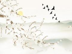 87年兔男是爐中火命和什么命 1987年?duì)t中火命男