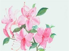 屬龍人最苦命的出生月份,屬龍最好的出生月份
