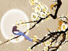 八字里都有什么算是富貴命 八字的富貴程度