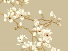 婚配與屬相互相之間怎樣適合相配 婚配屬相表四大忌口訣