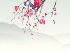 屬羊女在2024年的運(yùn)勢(shì) 79年屬羊女在2024年每月運(yùn)勢(shì)