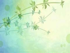 屬猴找對象最佳屬相是哪個,屬猴的找個屬什么的對象好