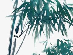 八字旺衰是墓啥意思 八字旺衰墓是什么意思