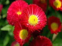 夢到游泳什么意思