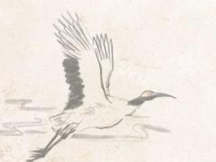 1994年屬狗女一生婚姻感情 1994年屬狗女人一生婚姻