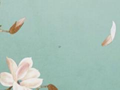 易卜居免費(fèi)八字測名字,趙姓男孩名字大全屬兔2023年