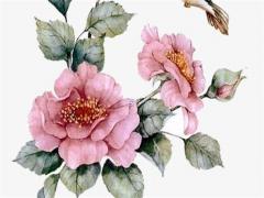 免費名字打分查詢911 姓名打分測試免費911