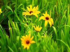 女人夢到數錢代表什么預兆