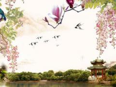 星座四象,水火土風星座克制關(guān)系
