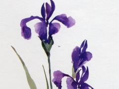 怎樣確定八字中的用神,最準確的八字喜用神