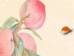 日柱金輿,日柱坐金輿的人都富有嗎