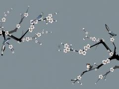 算八字丨957年農(nóng)歷5月15日男 男農(nóng)歷5月15日出生好不好