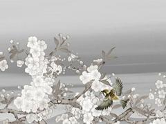 性功能強的日柱 性功能強的日柱十二長生性功能強