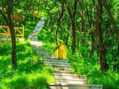 夢(mèng)見(jiàn)自己是女?huà)z的后人被人抓,朋友幫助逃脫