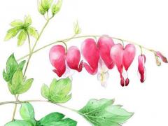 算命說官非什么意思 官是非是什么意思