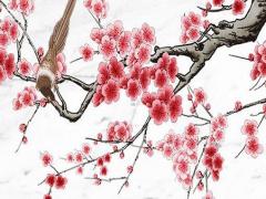 文在寅八字順為命理 命運