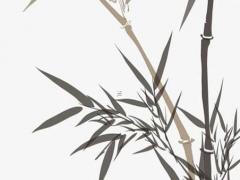 霸氣的游戲寵物名字大全 霸氣的游戲寵物名字大全女
