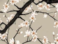 八字喜水木走什么大運(yùn)最好 八字喜水木適合戴什么首飾