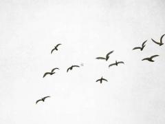 金木水火土年份查詢表 金木水火土年份速查表