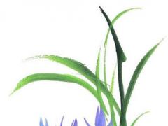 有道緣的人的八字特征,道家師傅會一眼看出徒弟嗎