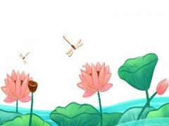 女孩八字過弱什么意思 女八字過弱是不是命不好