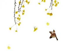 大江大河2宋運輝和程開顏離婚了嗎 宋運輝和梁思申睡覺是哪一集