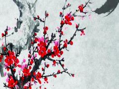 土五局是富貴命么,命局土五局女什么意思