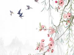 算命先生就已算出她的命 算命先生下場