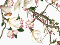 好聽有意義的古風(fēng)名字