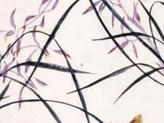 馬爾代夫婚紗攝影怎么樣 馬爾代夫婚禮價(jià)格表