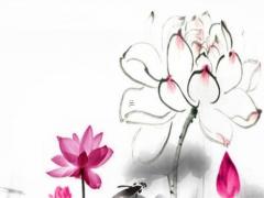 屬鼠和屬兔婚配好不好,屬鼠和屬兔的婚姻在一起好不好