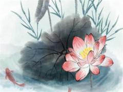 2024年屬什么的 2024年屬什么的不能結婚