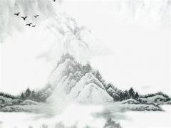 屬鼠女找個什么屬相最好,屬鼠的女生找什么屬性的男生